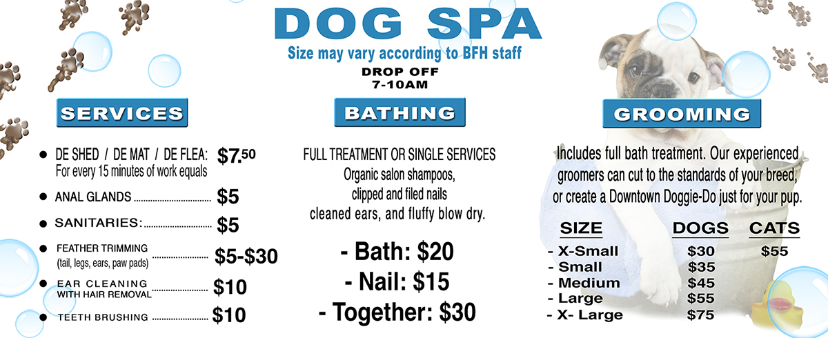 dog grooming price list near me